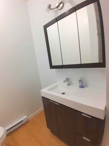 344 Rue Galt, H4G 2P4, H4G 2P4, Montréal - Photo 5