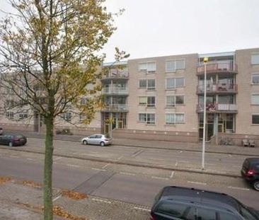 Drinkwaterweg, 3063 JC Rotterdam, Nederland - Photo 3
