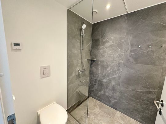 Moderne lejlighed med altan og udsigt til fjorden - Photo 1