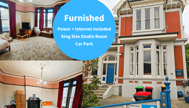 King-Sized Studio Living - Sign On Bonus! - Photo 1