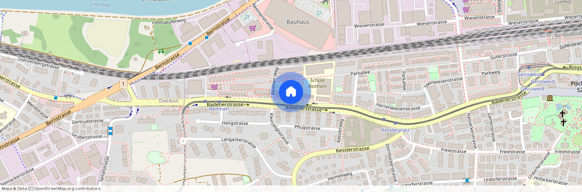 8952, Schlieren, Badenerstrasse, 84