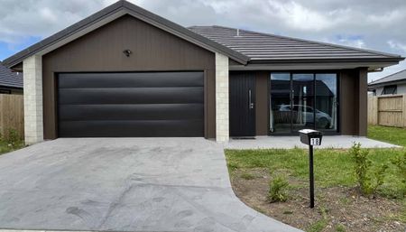 Near New Executive Home - Photo 5