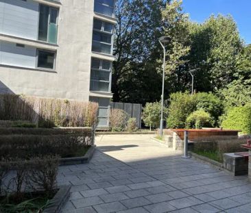 Standard Studio Bronze - Photo 1