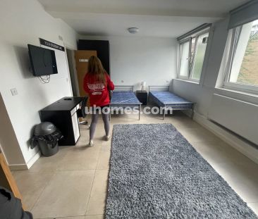 Bronze Twin Studio - Photo 2