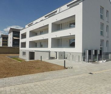 Komfortwohnung, Hanau-Klein-Auheim, 3-ZW, gr. Balkon, Gartenmitbenutzung - Photo 1