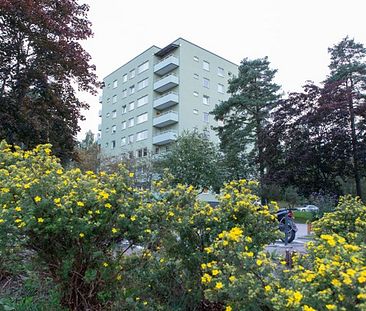 Strängnäs, Södermanland - Photo 1