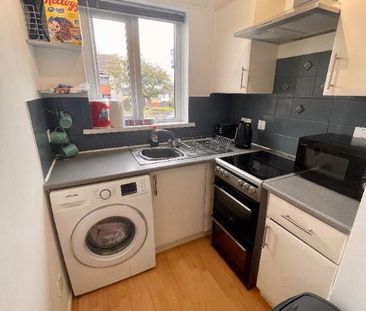 4 Warren Grove, Lisburn, BT28 1JG - Photo 5