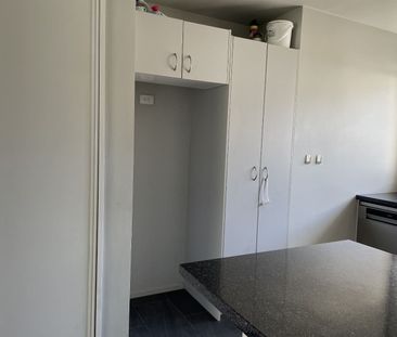 hidden on Hereford. - Photo 5