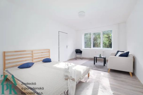 Pronájem bytu 1+1, Střekov, Ústí nad Labem - Photo 1
