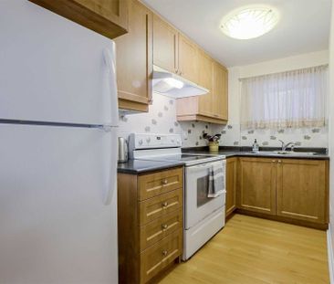 For Lease - 265 Oberfrick Avenue Unit# (Bsmt), Vaughan, Ontario - Photo 2