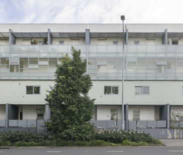 14 / 95 Euston Road - Photo 3