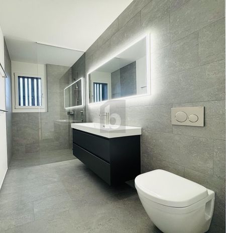 LUXURIOUS NEW CONSTRUCTION DIRECTLY ON THE LAKE - Photo 4