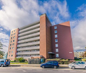 2-Zimmer-Wohnung in Braunschweig-Weststadt mit Balkon, Laminatboden und Wannenbad - Foto 2