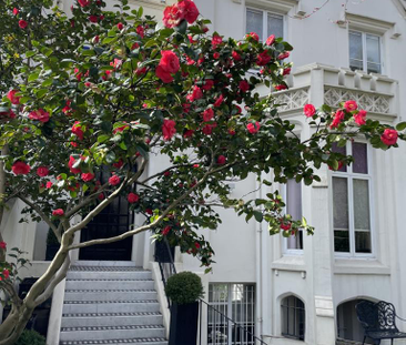 4 bedroom house to rent - Photo 3