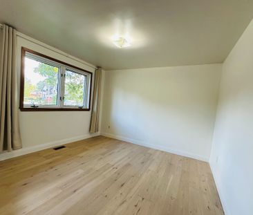 For Lease - 188 Maple Avenue, Richmond Hill, Ontario - Photo 5