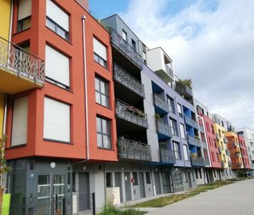 T3 A LOUER DANS UN ECOQUARTIER - Photo 1