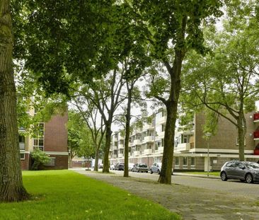 Dikninge 99, Buitenveldert-Oost-Midden, 1083VA, Amsterdam - Photo 3