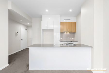 90/235 Flemington Road, Franklin ACT 2913 - Apartment For Rent | Domain - Photo 5