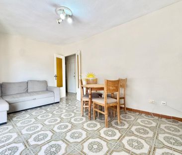 2 BEDROOM PENTHOUSE - PUNTA PRIMA - Photo 5