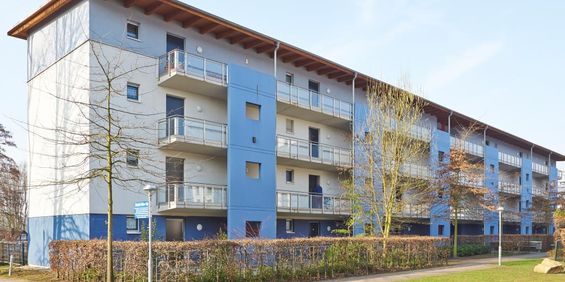 2-Zimmer Wohnung in Hamme für Senior*innen - Photo 3