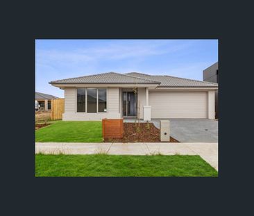 Home in the Heart of Armstrong Creek! - Photo 6