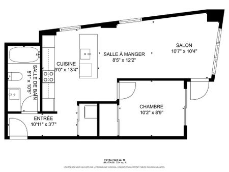 1220 Boul. René Lévesque E., Montréal (Ville-Marie), QC H2L - Photo 5