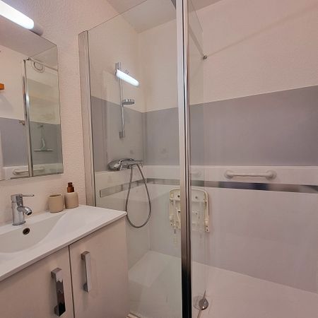 Location Appartement 1 pièce 23m² - Photo 4