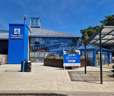 Queens Pine, Bracknell, Berkshire, RG12 - Photo 3