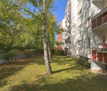 3-RW / Badewanne / Küche und Bad mit Fenster / Kautionsfrei - Foto 4