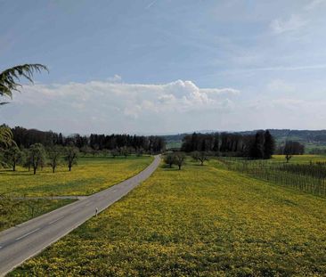 4.5 Zimmer, 120 m², EG - Foto 3