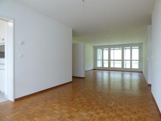 Sonnenhügel von Zürich-Leimbach - Photo 1