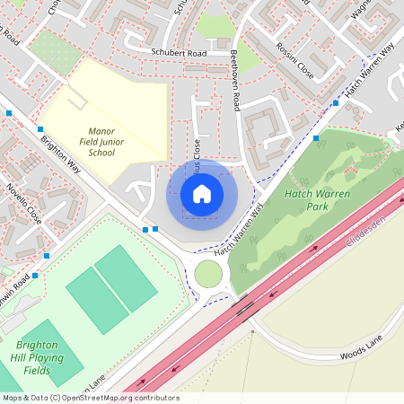 Sibelius Close, Brighton Hill, Basingstoke, RG22
