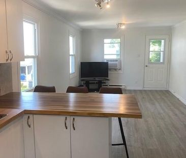 2 1/2 LOFT COMPLÈTEMENT RÉNOVÉ (HYDRO INCLUS) Disp. 1 juillet 26 - Photo 1