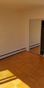 Large Bright Pet Friendly Studio available Dec. 15th - Photo 3