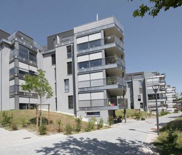 Joli studio récent (2016) dans construction Minergie - Foto 2