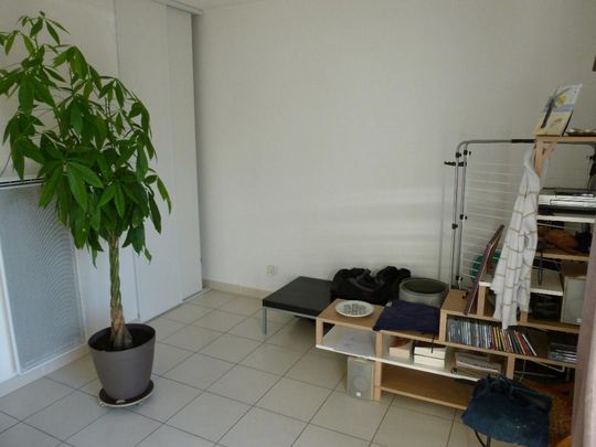 Location Appartement 1 pièce 25m² FROUZINS 31270 - Photo 1