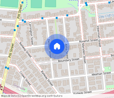 21 Rosehill Street, Parramatta NSW 2150 - Photo 1
