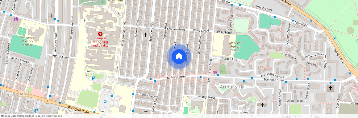 Tamworth Road, Arthurs Hill NE4