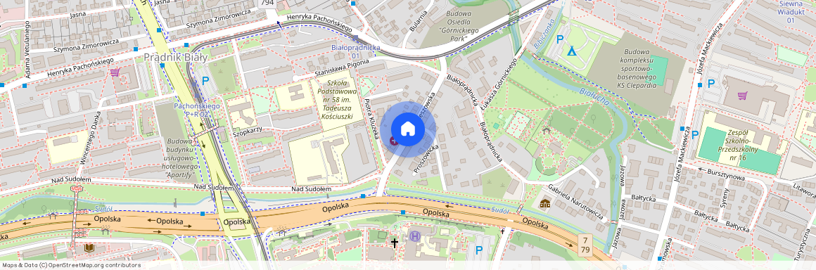 ul. Pleszowska, Prądnik Biały Zachód, Prądnik Biały, Kraków, małopolskie