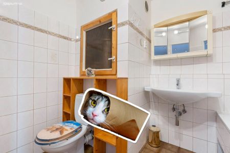 Pronájem bytu 3+1 • 88 m² bez realitkyChalabalova, Praha - Stodůlky - Photo 3