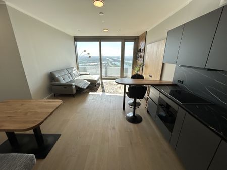 Möbliertes Apartment im 42. Stock mit Weitblick auf die Donau! Pool, Spa und Fitness inklusive! - Photo 2