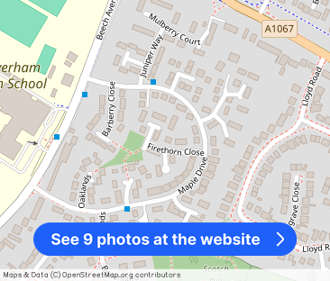 Firethorn Close, NR8 - Photo 1