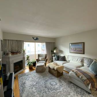 1 Bedroom Suite at Wellington Manor - Photo 4