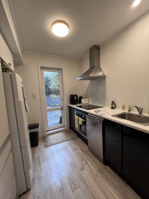 3 Bedroom Unit in Te Aro - Photo 1