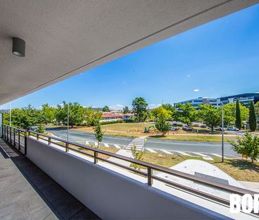 19/44 Macquarie Street, Barton ACT 2600 - Apartment For Rent | Domain - Photo 1