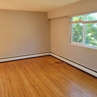 Large Bright Renovated 1 bedroom - Photo 1