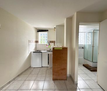 Location Appartement 1 pièce 23m² - Photo 4