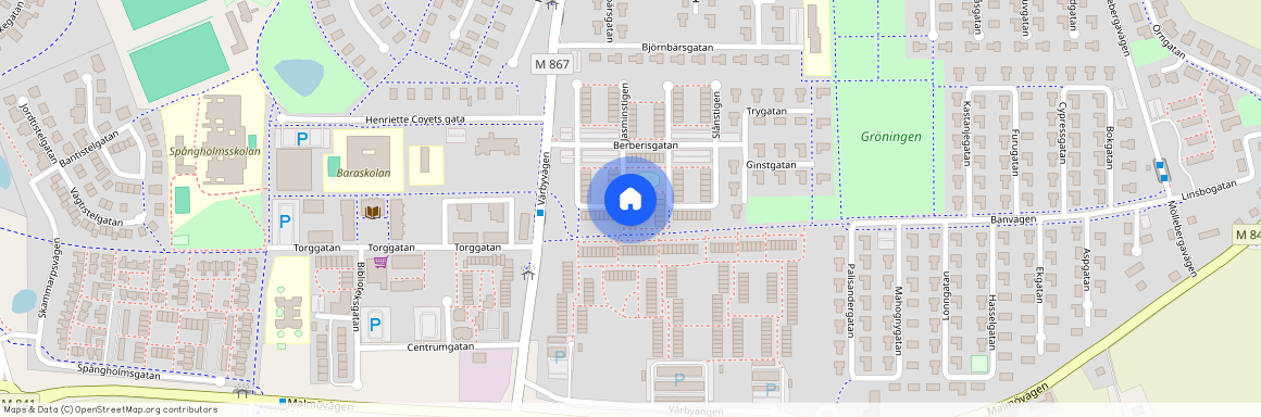 Fläderstigen 1, Bara