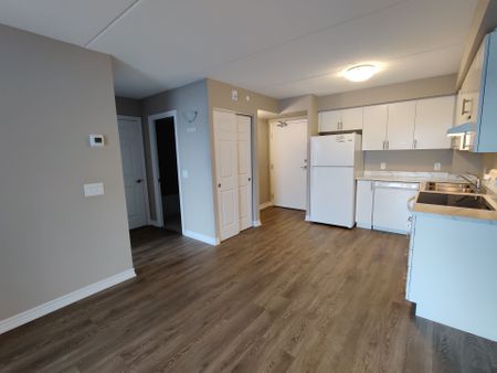 For Lease - 716 Main Street Unit# 206, Milton, Ontario - Photo 3