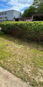 2 Zimmer, EG - Photo 4